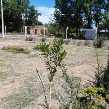 Casa quinta, muy cómoda y tranquila - 170m2