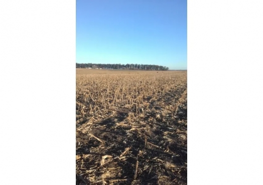 Campo De 2600 Has Agricolas En Rio Cuarto