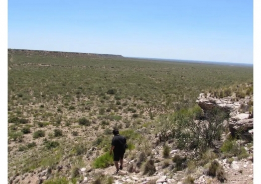 Campo De 2.644 Has En Algarrobo Del Águila, La Pampa