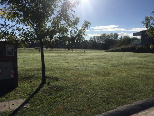  Lote Yact Nordelta - 1000m²