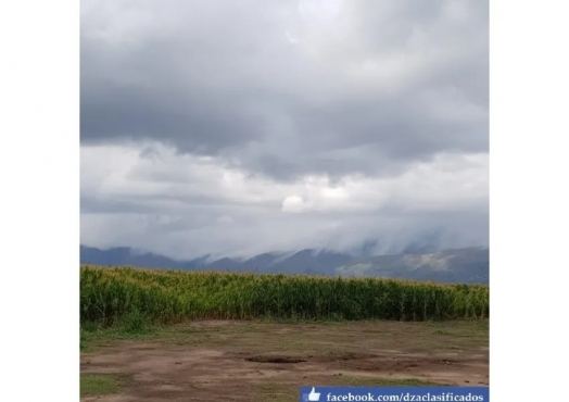 Campo Agrícola