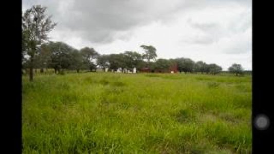 CAMPO AGRICOLA / GANADERO – 200 HECTAREAS (CHACO)
