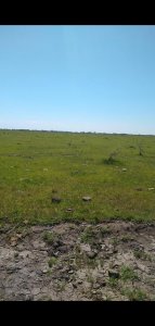 Campo Mixto Totalmente Virgen
