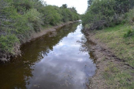 47 Has en La Cocha, Renca San Luis